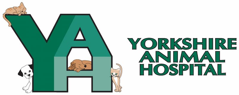 Yorkshire Animal Hospital Logo